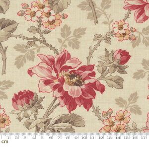 yFrench GeneralzJoie De Vivre-13980-11(3A-03) ԕ ԕ GKg NVbN V[`O 110cm pb`[N nhChy10cmPʔ̔z