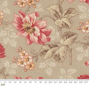 yFrench GeneralzJoie De Vivre-13980-14(3A-03) ԕ ԕ x[W GKg NVbN V[`O 110cm pb`[N nhChy10cmPʔ̔z