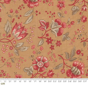 yFrench GeneralzJoie De Vivre-13982-14(3A-03) ԕ A GKg bh NVbN V[`O 110cm pb`[N nhChy10cmPʔ̔z