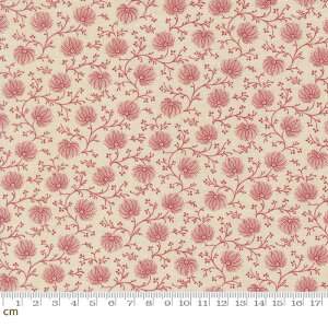 yFrench GeneralzJoie De Vivre-13986-11(3A-03) ԕ A ԕ bh GKg NVbN V[`O 110cm pb`[N nhChy10cmPʔ̔z