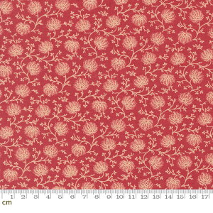 yFrench GeneralzJoie De Vivre-13986-13(3A-03) ԕ A ԕ bh GKg NVbN V[`O 110cm pb`[N nhChy10cmPʔ̔z