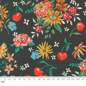 yModa _zJulia-11920-22(2E-06) ubN ԕ t[c  킢 Rbg100% V[`O y10cmPʔ̔z