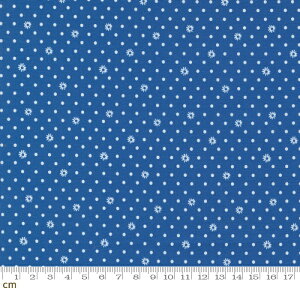 yModa _zJulia-11928-12(2E-06) u[ hbg ԕ 킢 Rbg100% V[`O y10cmPʔ̔z