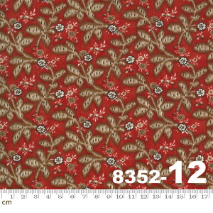 yModa _zLadies' Legacy-8352-12(2E-04) bhn uEn ԐF F ԕ A Rbg100% V[`Oy10cmPʔ̔z