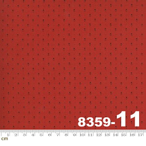 yModa _zLadies' Legacy-8359-11(2E-04) bhn ԐF ԕ ԕ Rbg100% V[`Oy10cmPʔ̔z