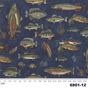 yModa _zLake Views-6801-12(2D-01) u[n   lCr[ Rbg100 V[`Oy10cmPʔ̔z