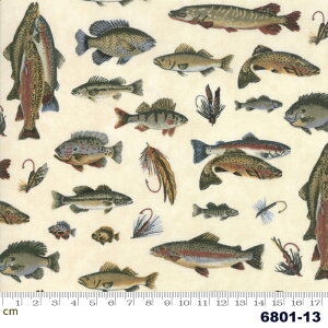 yModa _zLake Views-6801-13(2D-01) x[Wn zCgn   Rbg100 V[`Oy10cmPʔ̔z