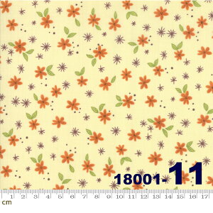 yModa _zLast Bloom(Xg u[)-18001-11(2D-03) ԕ t[ A CG[n IWn O[n g Rbg100 V[`Oy10cmPʔ̔z