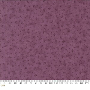 yModa _zLavender Fields-44364-29(3A-01) ԕ t [t p[v Rbg100 V[`O 110cmy10cmPʔ̔z