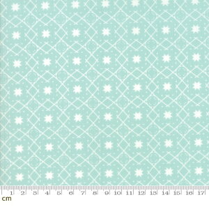 yModa _zLollipop Garden-5084-15(2C-05) Cgu[ F 􉽊w͗l  }` Rbg100% V[`Oy10cmPʔ̔z