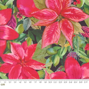 yModa _zLove And Cheer-21830-12(3A-03) ԕ NX}X bhn sNn ~ |CZ`A {^jJ t[ pb`[N V[`O 110cmy10cmPʔ̔z