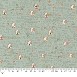 yModa-k _zLucky-55702-12(3A-03)  p n[g pXeJ[ O[ 킢 V[`O 110cm pb`[N nhChy10cmPʔ̔z