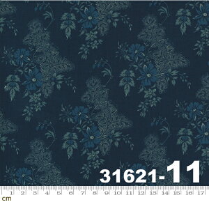 yModa _zMaria's Sky-31621-11(2E-04) u[n Rbg100 V[`Oy10cmPʔ̔z