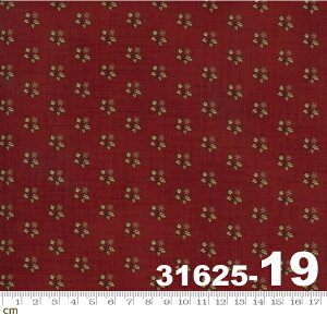 yModa _zMaria's Sky-31625-19(2E-04) bhn A Rbg100 V[`Oy10cmPʔ̔z