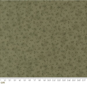 yModa _z Meadow Greens-44364-35(3A-06) A  t 鑐 I[u O[ Rbg100 V[`O 110cmy10cmPʔ̔z