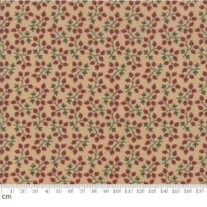 yModa _zMilestones-9613-11(2D-02) x[Wn bh ԐF ԕ ؂̎ Rbg100 V[`Oy10cmPʔ̔z