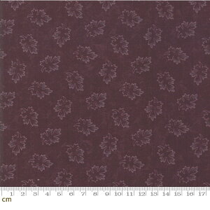 yModa _zMilestones-9614-16(2D-02) uEn  [t Rbg100 V[`Oy10cmPʔ̔z