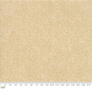 yModa _zMilestones-9617-21(2D-02) x[Wn 􉽊w hbg Rbg100 V[`Oy10cmPʔ̔z