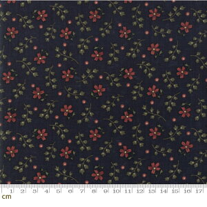 yModa _zMilestones-9618-14(2D-02) ubN ԐF ԕ Rbg100 V[`Oy10cmPʔ̔z