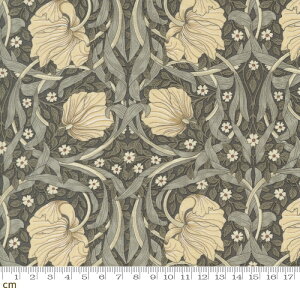 yModa _zEbony Suite-8381-14(3B-05) J[LO[ x|W ԕ spl EBAX morris NVbN Rbg100 V[`Oy10cmPʔ̔z