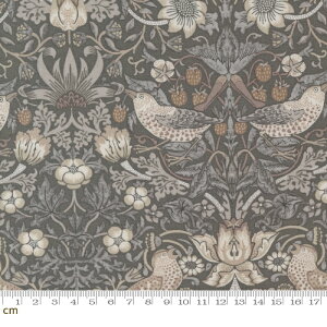 yModa _zEbony Suite-8382-14(3B-05) O[ x|W  ԕ D_ EBA NVbN Rbg100 V[`O 110cmy10cmPʔ̔z