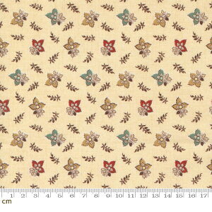 yModa _zLydias Lace-31684-11(3B-05) x|W ԕ Rbg100% V[`Oy10cmPʔ̔z