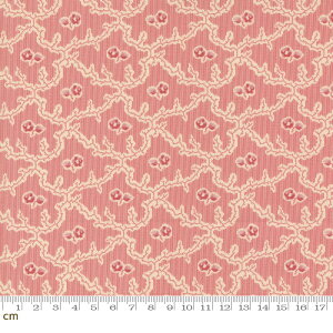 yModa _zLydias Lace-31686-11(3B-05) bh  Rbg100% V[`Oy10cmPʔ̔z