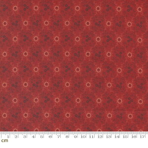 yModa _zLydias Lace-31687-15(2B-05) bh   Rbg100% V[`Oy10cmPʔ̔z