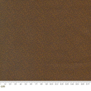 yModa _zLydias Lace-31689-14(3B-05) uE A AeB[N Rbg100% V[`Oy10cmPʔ̔z