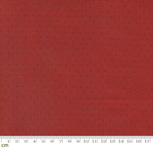 yModa _zLydias Lace-31690-13(3B-05) bh uE  Rbg100% V[`Oy10cmPʔ̔z