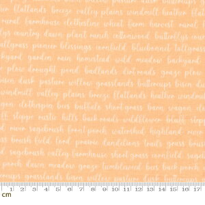 �yModa-k ���_�zPastel Prairie-31784-19(3A-07) ������ �p���� �I�����W�n �p�X�e���J���[ ���킢�� �V�[�`���O 110cm�� �p�b�`���[�N �n���h���C�h�y10cm�P�ʔ̔��z