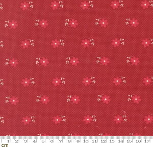 �yModa-k ���_�zPetals And Polka Dots-3083-20(3A-07) �ԕ� �h�b�g�� ���b�h�n ���킢�� �V�[�`���O 110cm�� �p�b�`���[�N �n���h���C�h�y10cm�P�ʔ̔��z
