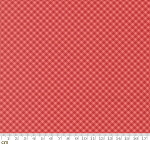 �yModa-k ���_�zPetals And Polka Dots-3088-16(3A-07) �`�F�b�N�� �M���K���`�F�b�N ���b�h�n ���킢�� �V�[�`���O 110cm�� �p�b�`���[�N �n���h���C�h�y10cm�P�ʔ̔��z