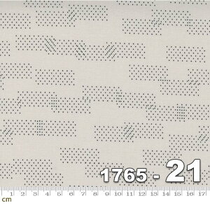 yModa _zModern Background Even More Paper-1765-21(2E-04) O[n 􉽊w hbg Rbg100 V[`Oy10cmPʔ̔z