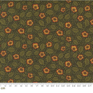 yMorris XzMorris Manor-8396-20(3A-02) moda ΂ ԕ 鑐͗l XEB[guCA[ O[ EBAX NVbN Rbg100 V[`O 110cmy10cmPʔ̔z