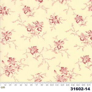 yModa _zNancys Needle-31602-14(2D-01)(2C-06) ԕ A x[Wn bhn Rbg100 V[`Oy10cmPʔ̔z