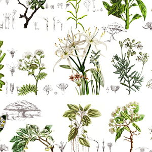 【nora. ノラ】23SP-CL1088-L-A(リネン生地)(1F-03) 花柄 ボタニカル 植物柄 コットン キャンバス生地【10cm単位販売】