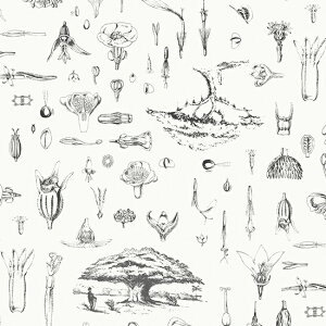 【nora. ノラ】23SP-CL1089-L-A(リネン生地)(1F-03) ホワイト 花柄 ボタニカル 植物柄 コットン キャンバス生地【10cm単位販売】