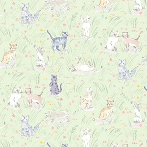 ynora. mz23SU-ST1280-A(3D) L O[ ʕ i` Rbg100% V[`Oy10cmPʔ̔z