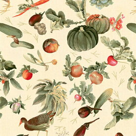 【nora. ノラ】23SU-ST1121-OX-A(3D) 野菜柄 かぼちゃ クラシック ナチュラル ハーベスト 秋 リアルタッチ コットン100% オックス生地 110cm幅【10cm単位販売】