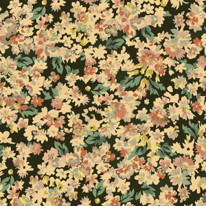 ynora. mz22SP-FR1077(1F-02) ԕ ʕ  lۂ Rbg100% V[`O 110cmy10cmPʔ̔z