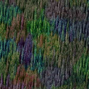 ynora. mz22SP-SN1009(3D) X A O[ }`J[ i` A Rbg100% V[`O 110cmy10cmPʔ̔z