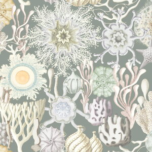 ynora. mz22SP-ST1106(3D) TS X蕿 O[ C A^b` 傫ߕ 啿 Rbg100% V[`O 110cmy10cmPʔ̔z