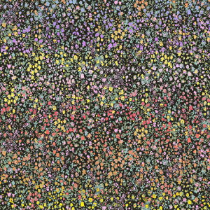 ynora. mz22SU-FR1023-A(3D) ԕ 􉽉ԕ pXe Ԕ 킢 Rbg100% V[`O 110cmy10cmPʔ̔z