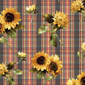 ynora. mz22SU-FR1130-OX-A(3D) IW CG[  `FbN  Be[Wn  Rbg100% IbNXn IbNXtH[hn 110cmy10cmPʔ̔z