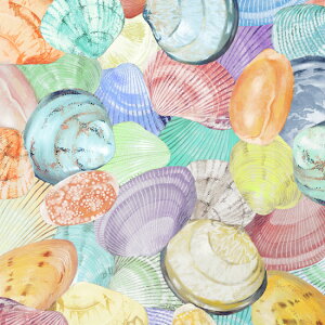 ynora. mz22SU-ST1008(3D) L C  Lk |bv u[ IW Jt 啿 傫ߕ 킢 Rbg100% V[`O 110cmy10cmPʔ̔z