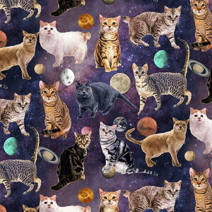 ynora. mz22FA-ST1129-A(3D) p[v F L Xy[XLbg j[N Rbg100% V[`O 110cmy10cmPʔ̔z