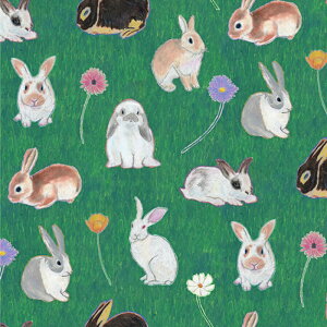 ynora. mz23SU-ST1361(3D)  Aj} 킢 |bv CXg 啿 傫ߕ O[ Rbg100% V[`O 110cmy10cmPʔ̔z