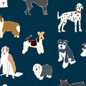 ynora. mz23FA-ST1337-A(1F-08)   񂿂 CXg 킢 Rbg100% V[`O 110cmy10cmPʔ̔z