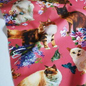 【nora. ノラ】23WI-FR1135(3D) 猫柄 ネコ 動物柄 アニマル フラワー モチーフ 総柄 花柄 おしゃれ かわいい ピンク系 デザイン コットン 100% シーチング【10cm単位販売】